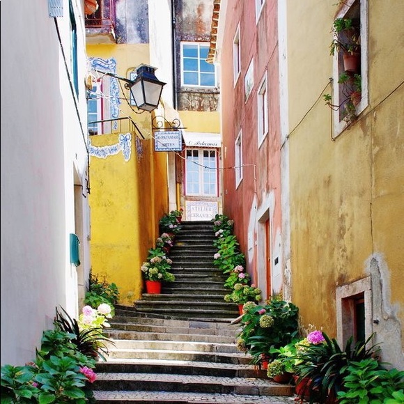 Meet your Posher, Lily - Picture 1 of 1